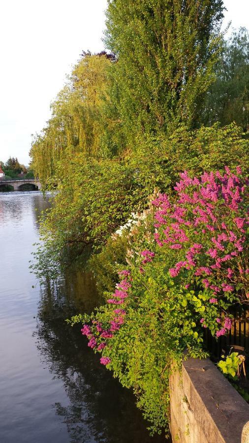 Ferienwohnung Villa Am Fluss Lauf an der Pegnitz Luaran gambar